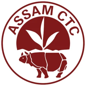 logo1-1