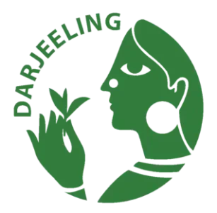 logo3